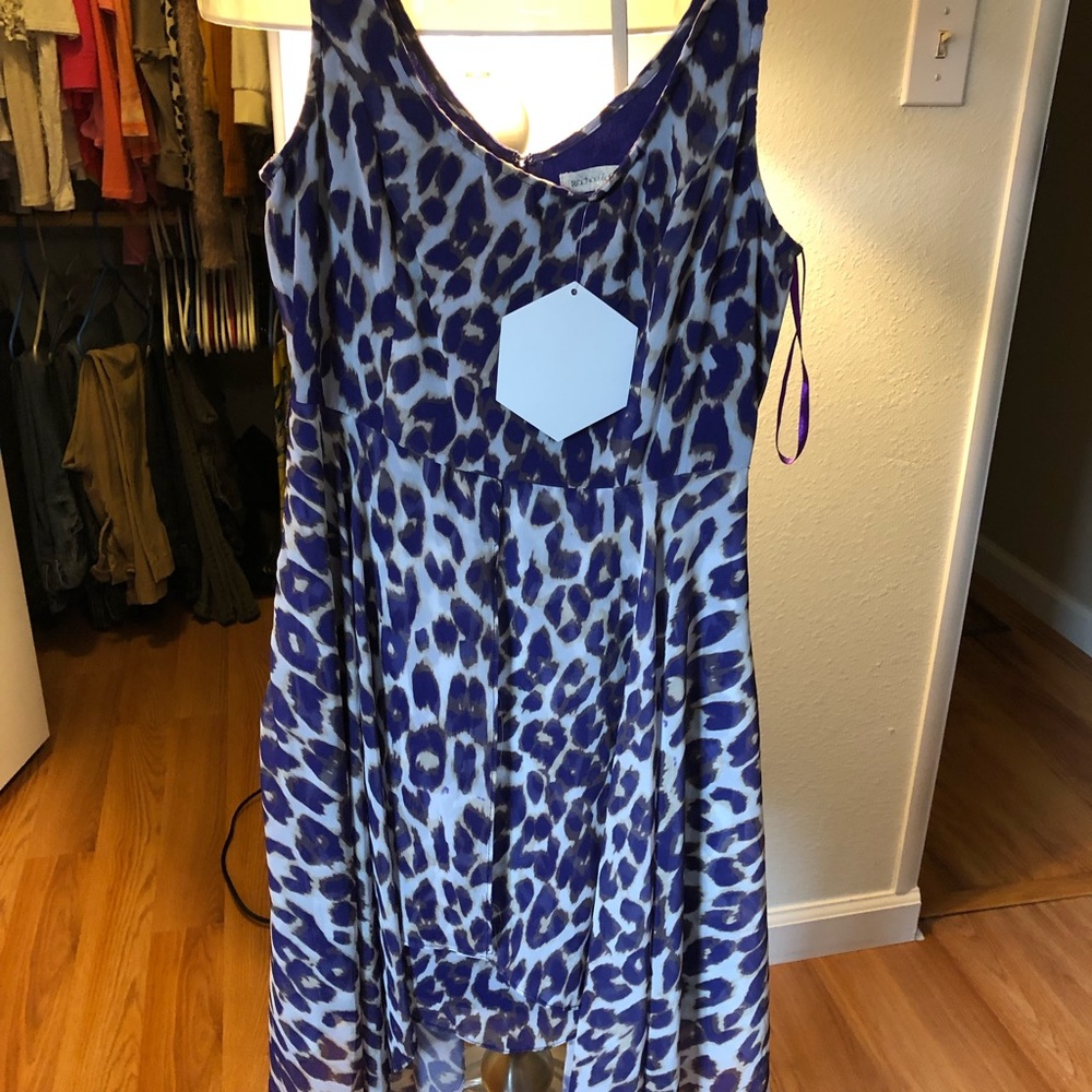 Dresses - Picture 5 of 8
